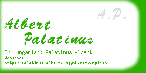 albert palatinus business card